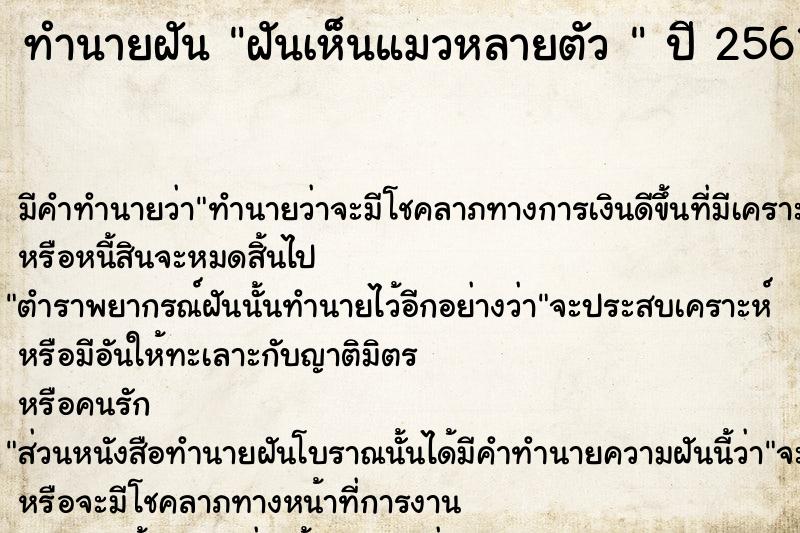 ทำนายฝันทำนายฝันฝันเห็นแมวหลายตัว